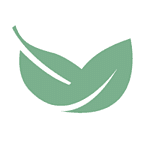 Bay Leaf Digital logo