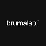 Brumalab Agencia de Diseño Web logo
