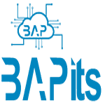 BAPits