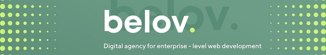 Belov Digital Agency, Inc cover