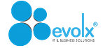 evolx IT & Business Solutions logo