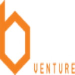 BizVenture Marketing logo