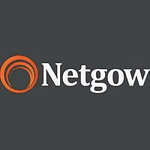 Netgow logo