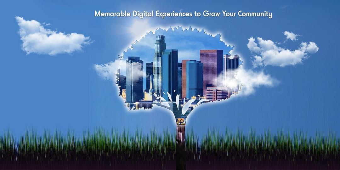 Promotion LA Digital Management Agency cover