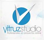 Vitruz Studio logo