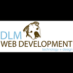 DLM Web Development LLC