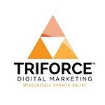 Triforce Business Solutions