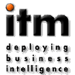 ITM Website Design Cape Town logo