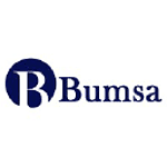 Bumsa Inc