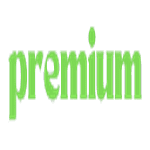 Premium SEO logo