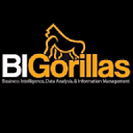 BIGorillas logo