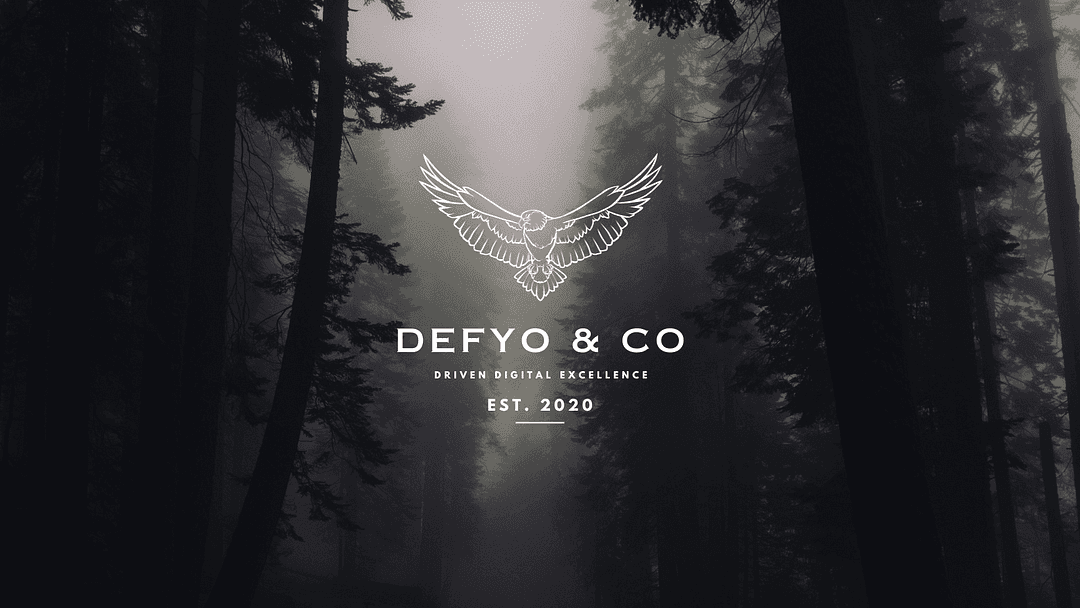 Defyo & CO cover