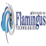 Flamingus Technologies