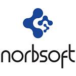Norbsoft logo