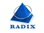 Radixweb logo