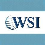 WSI Local Marketing logo