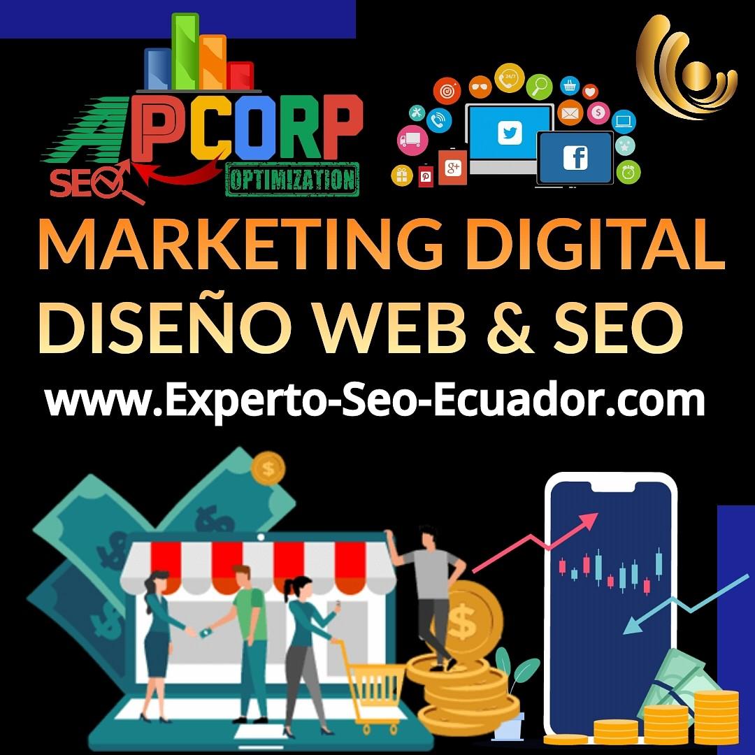 Experto Consultor en SEO Ecuador Posicionamiento Web Guayaquil cover