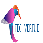 Techvertue Technology Pvt Ltd