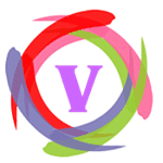 VEREO Group logo