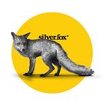silverfox® innovative logo