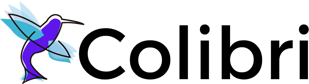 Colibri AI & Web Dev cover