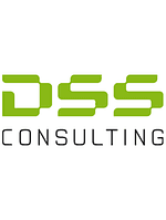 DSS Consulting logo