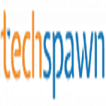Techspawn Solutions logo