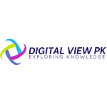 Digital View PK - Online Brand Management Agency logo