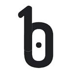 bainry logo