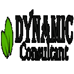 Dynamic Consultant logo