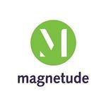 Magnetude Consulting