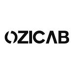 Ozicab Web Design logo