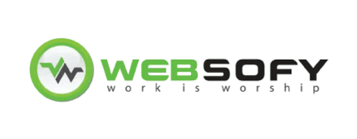 Websofy Software Pvt Ltd - Best Digital Marketing Company In Lucknow cover