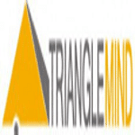 Triangle Mind Technologies logo
