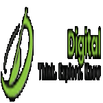 Drive Digital Media Private Limited logo