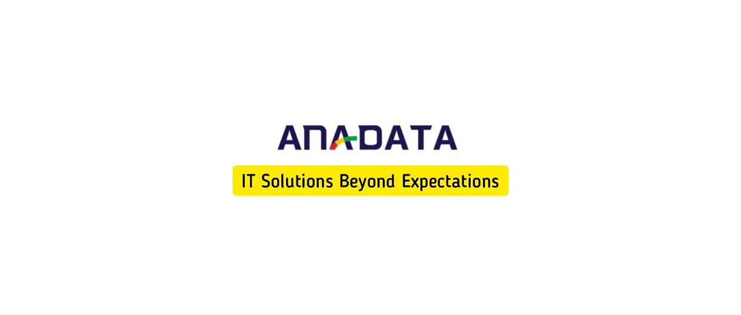 Ana-Data Consulting Inc cover