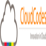 CloudCodes Software Private Limited logo