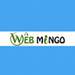 Web Mingo IT Solutions Pvt. Ltd.