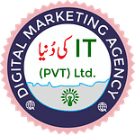 IT Ki Dunya Private Ltd. Digital Marketing Agency logo
