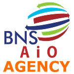 BNS AiO Agency