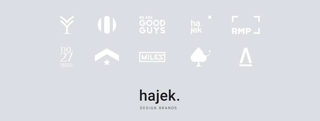 hajek. Design Brands cover