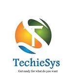 Techiesys Digital  Marketing Company