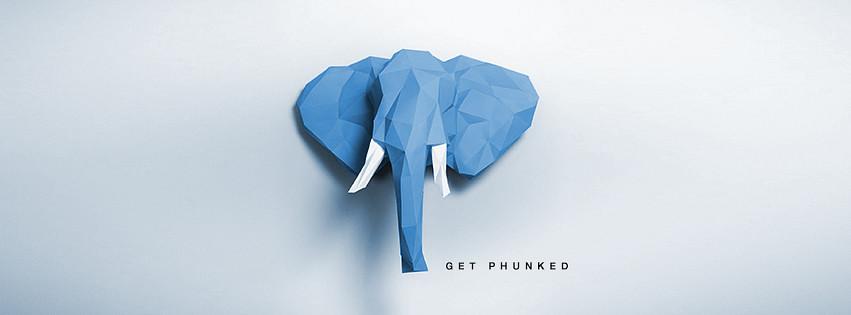 Elephant Phunk cover
