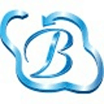 Bhavitra Technologies Private Limited logo