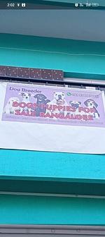 Dog puppies sale bangalore logo