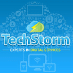 TechStorm Consulting Ltd-Experts in Digital Services logo