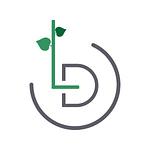 Lindenfeld Digital logo
