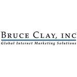Bruce Clay India logo