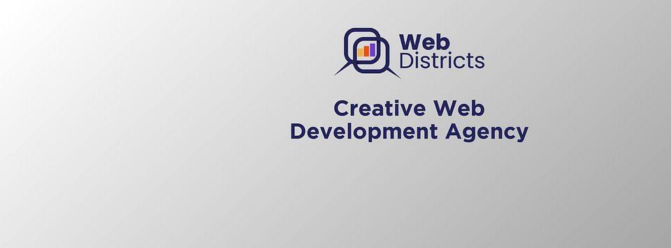 WEB DISTRICTS LLC cover