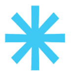Black Snow Digital logo